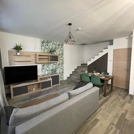 Nest 埃格尔